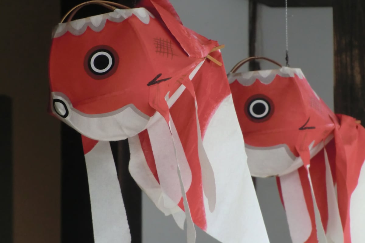 Kingyo Chochin (Goldfish Lantern) 1