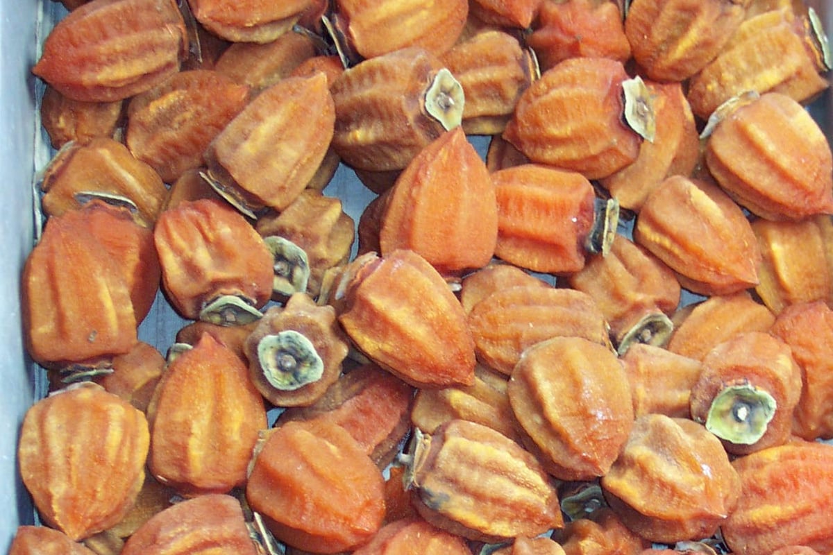 Anpogaki (Semi-dried persimmon)