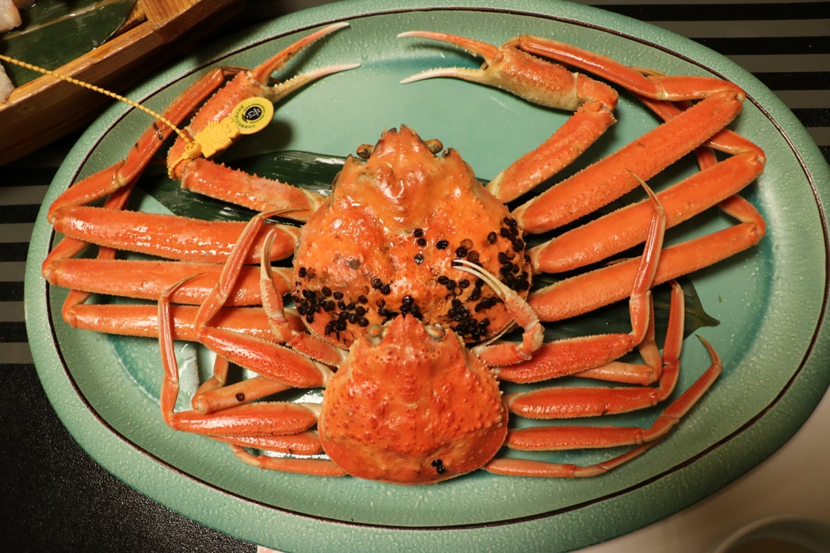 Echizen Crab