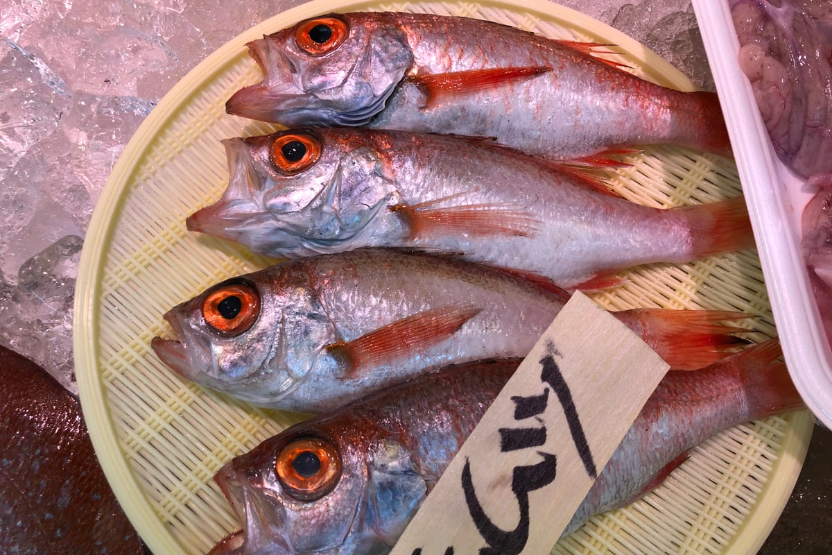 浜田ののどぐろ