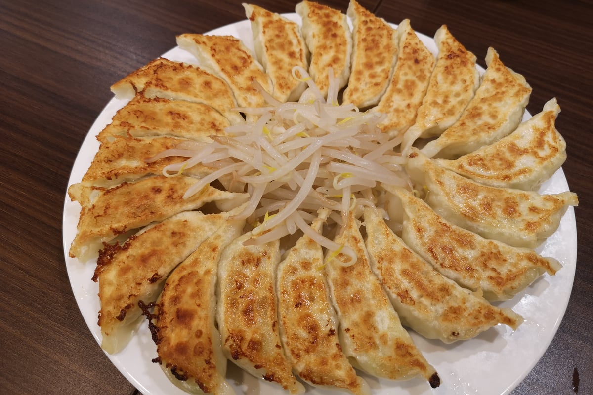 Hamamatsu Gyoza