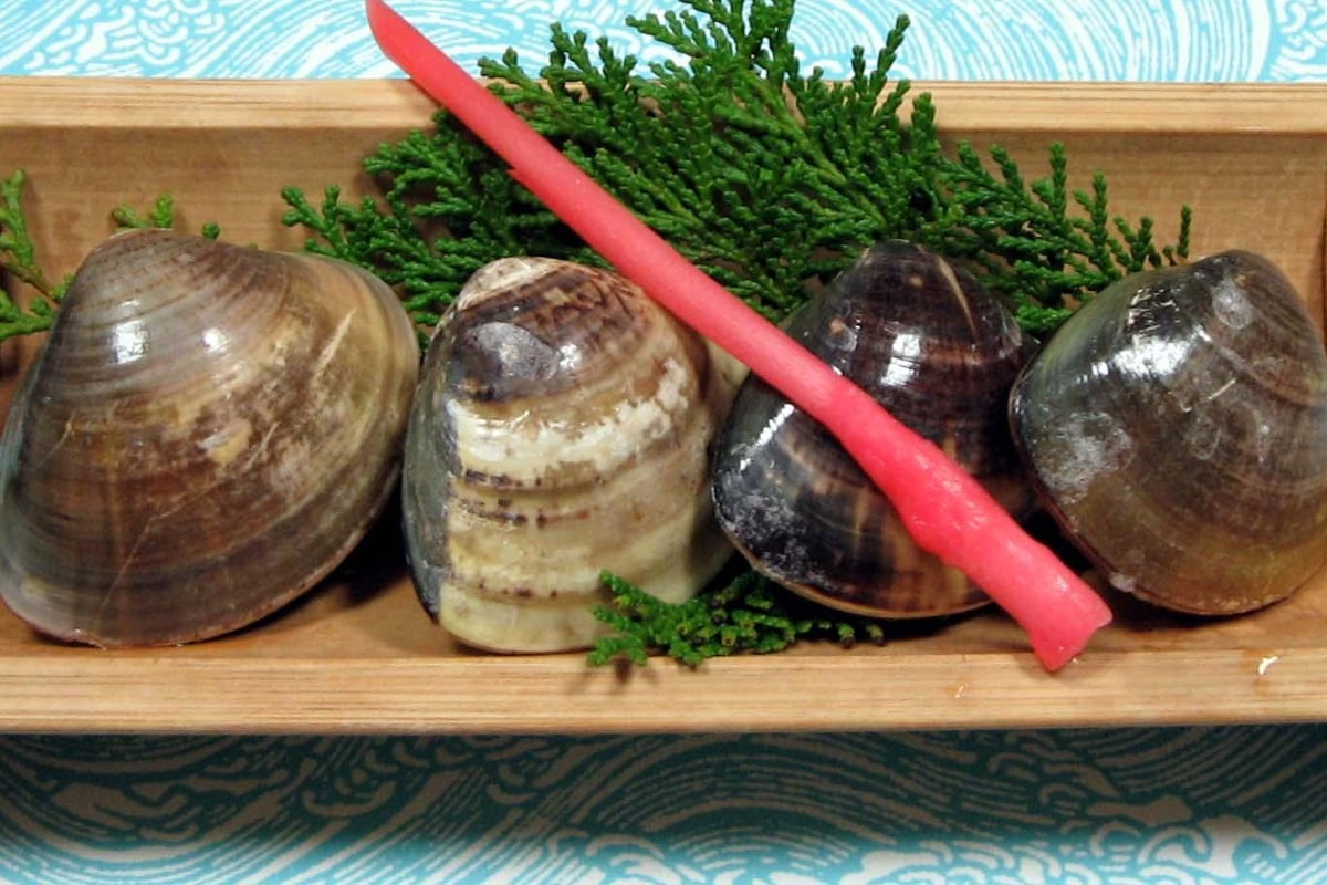 Kuwana Hamaguri (Kuwana Clams)