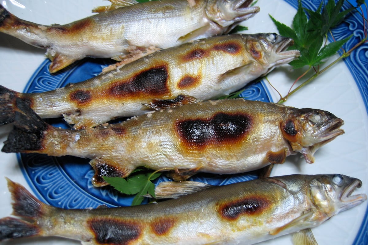 Nagara River Ayu Dishes