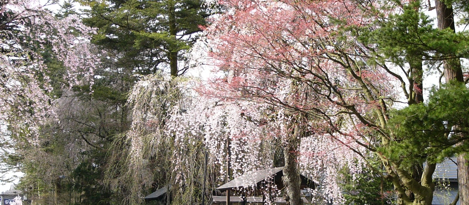 Akita Prefecture