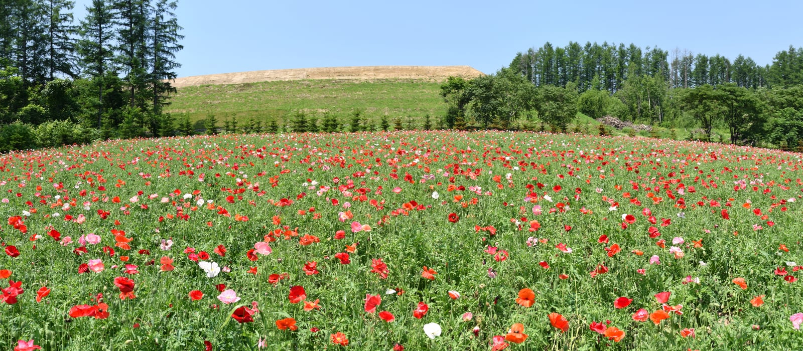 Hokkaido