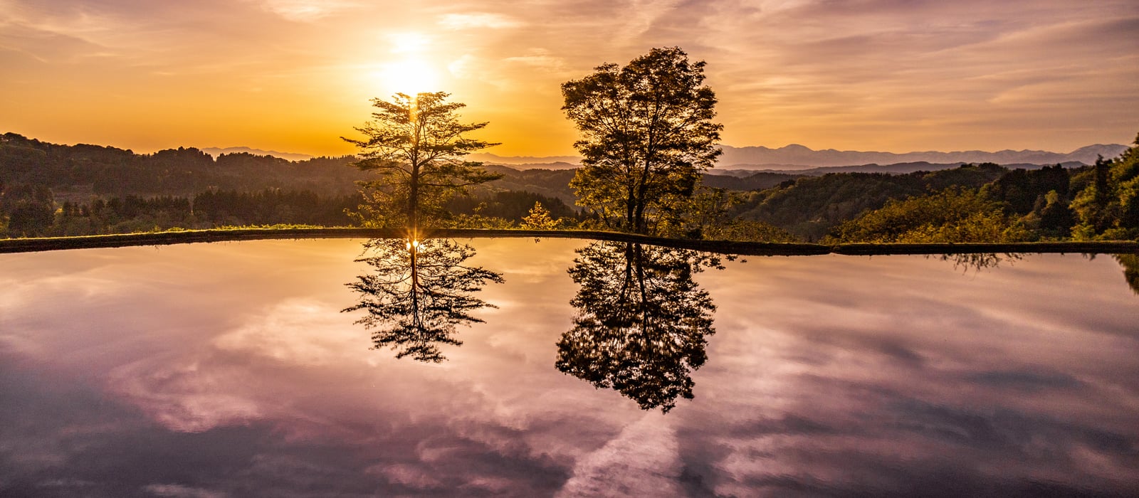 Niigata Prefecture