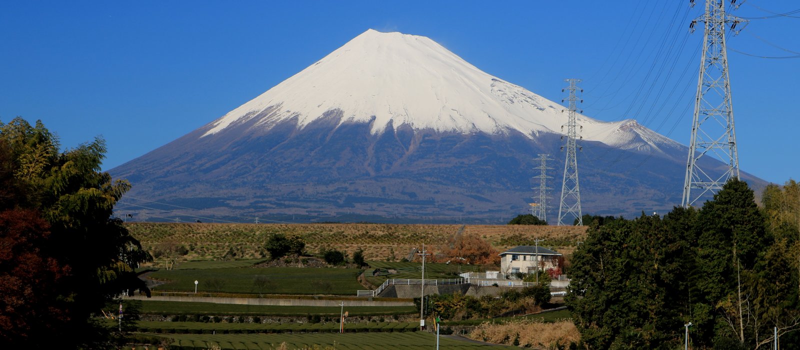 Shizuoka Prefecture